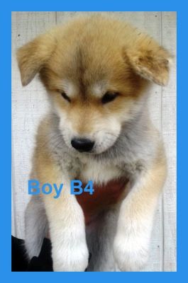 Scrolling MySpace Image Generator
