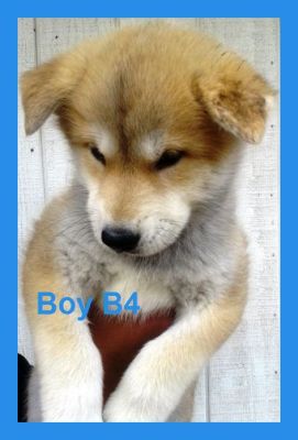 Scrolling MySpace Image Generator